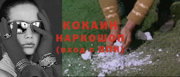крисы Богородицк