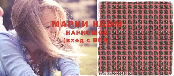 крисы Богородицк