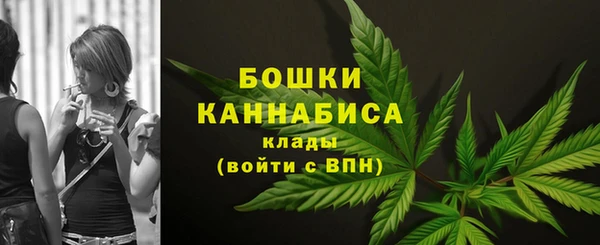 mdpv Богородск