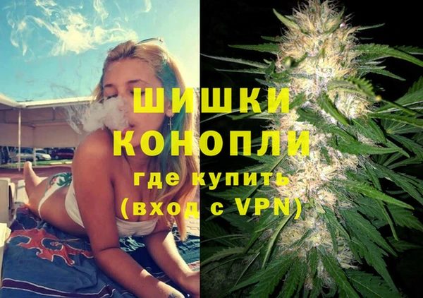 гашик Верея
