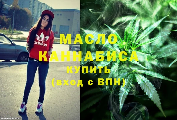 крисы Богородицк