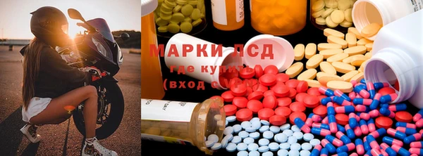 прущие крисы Белокуриха