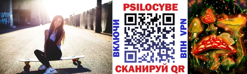 купить наркотики цена  Карталы  Псилоцибиновые грибы Psilocybe 